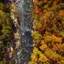 A Step Back in Time: Black Mountain, NC