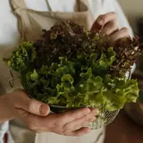 bettys crockers green salad with homemade french dressing
